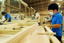 Đại dịch Covid-19 làm giảm tiền lương toàn cầu