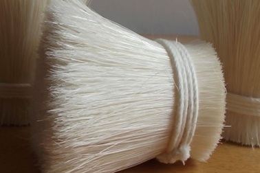 Doanh nghiệp xin nhập "lông heo", hải quan lúng túng, chờ xin chỉ đạo