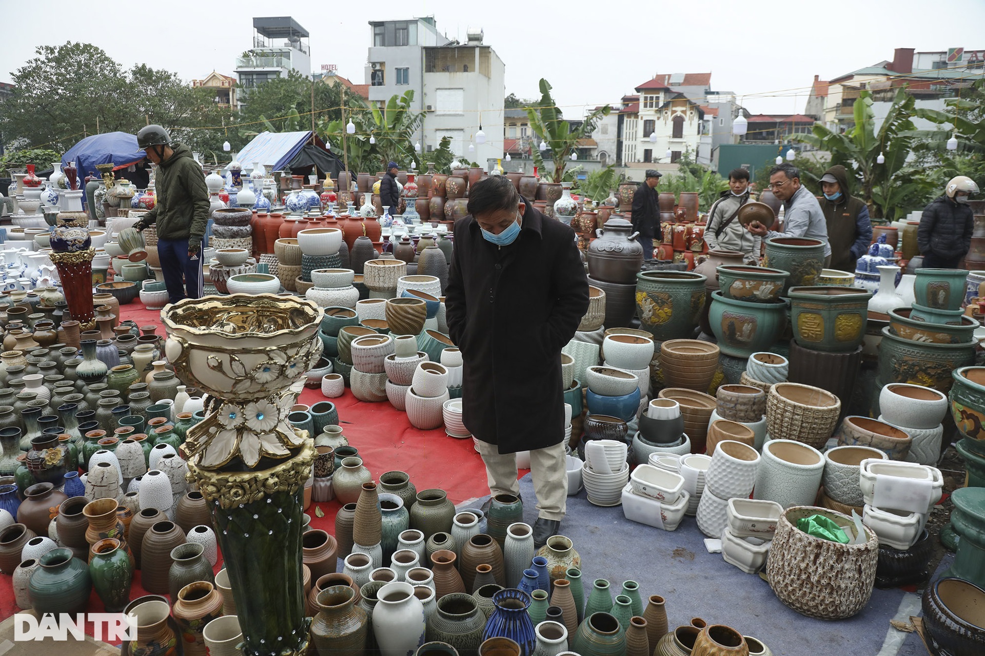 People flocked to Lac Long Quan flower market to shop for Tet - December