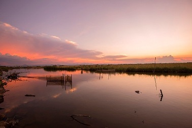 “Kiếp ngựa tù chân” lại nhớ đường…