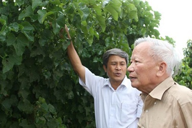 Nguyên Phó Thủ tướng và đàn vịt giời