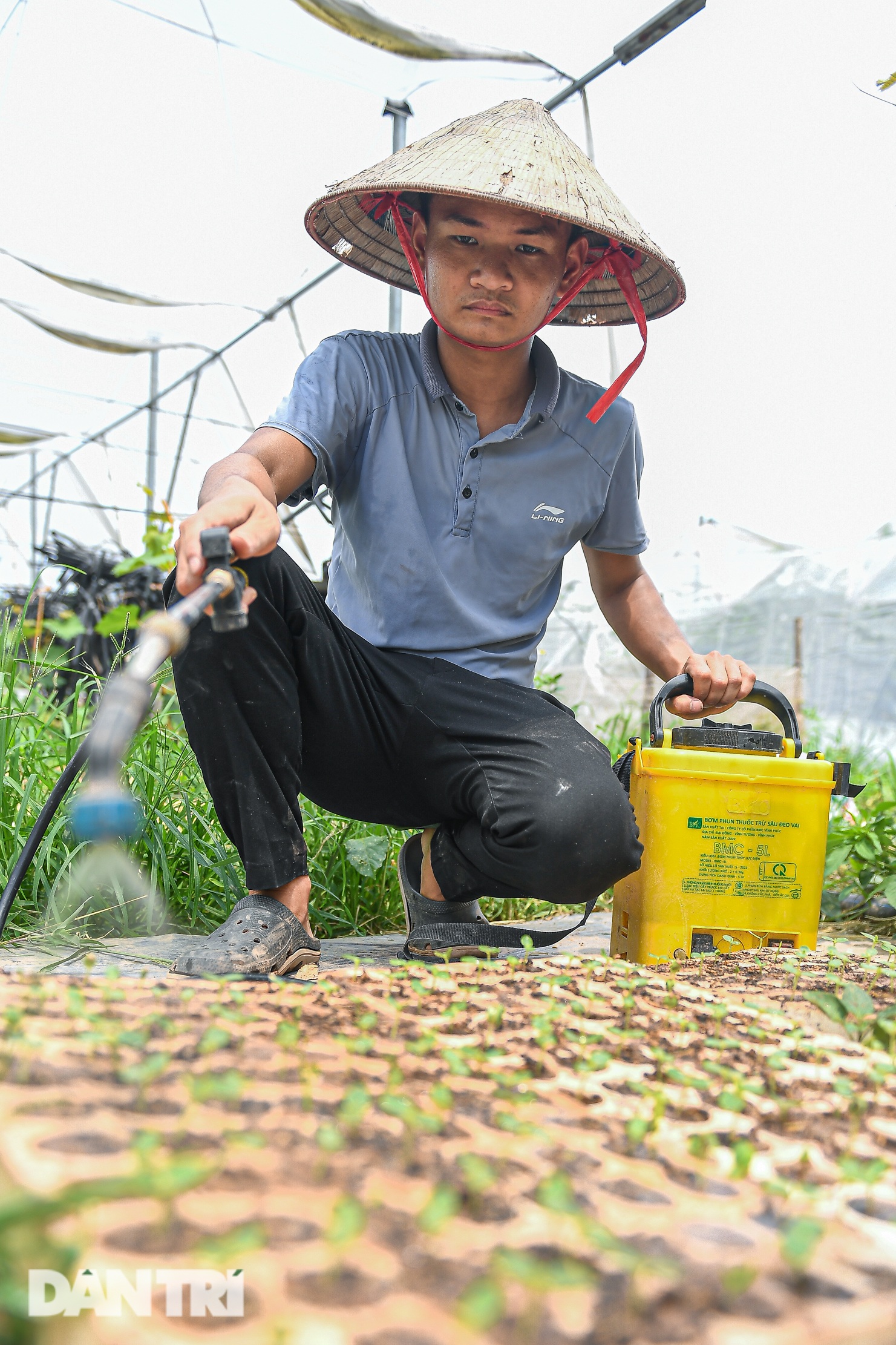 9X Hà Nội cầm 10 triệu đồng, liều lĩnh trồng nho không hạt thu lời tiền tỷ - 5 9X Hà Nội cầm 10 triệu đồng, liều lĩnh trồng nho không hạt thu lời tiền tỷ - 5