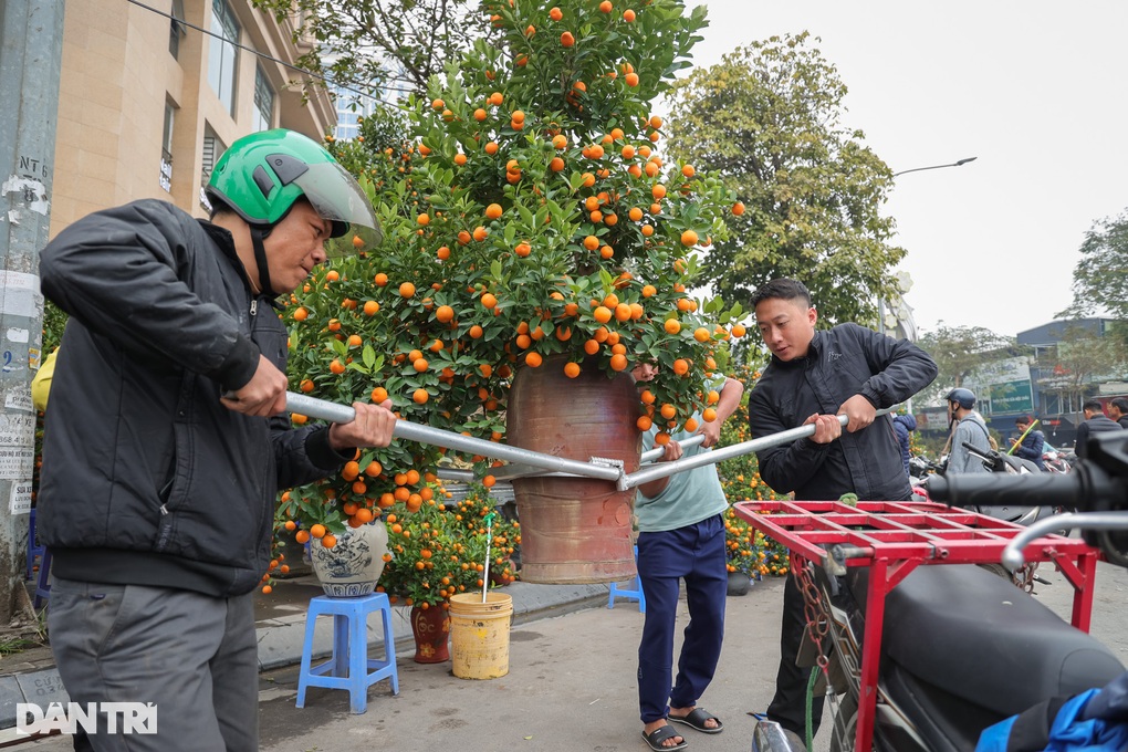 Hà Nội chiều cuối năm: Người tấp nập bán quất, người ế ẩm phải hạ giá - 2 Hà Nội chiều cuối năm: Người tấp nập bán quất, người ế ẩm phải hạ giá - 2