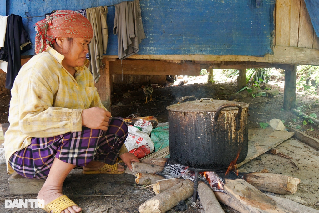 Hộ đồng bào thoát nghèo với heo đen bản địa - 3 Hộ đồng bào thoát nghèo với heo đen bản địa - 3