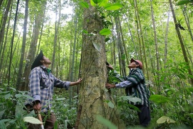 Hàng trăm tỷ đồng "bán không khí" còn mắc kẹt chưa thể giải ngân