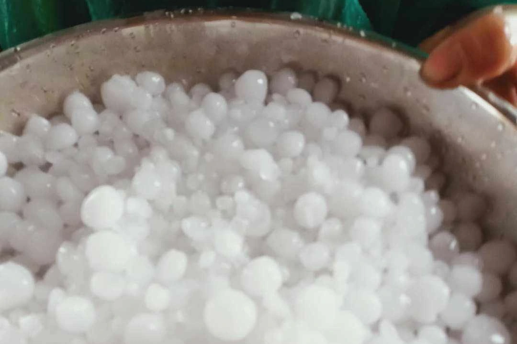 Những trận mưa vàng ở Gia Lai giúp giải nhiệt, cứu cây trồng khỏi khô hạn - 5 Những trận mưa vàng ở Gia Lai giúp giải nhiệt, cứu cây trồng khỏi khô hạn - 5