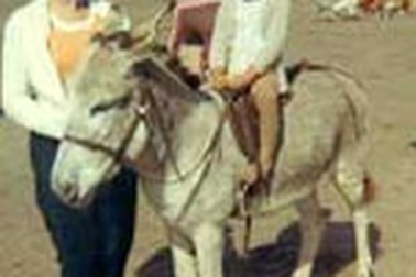 Luật bảo hộ quyền… con lừa