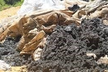 Sở TN&MT Hà Tĩnh cấp “bảo bối” cho Formosa?