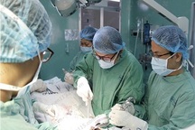 Gãy dương vật vì... nằm mơ