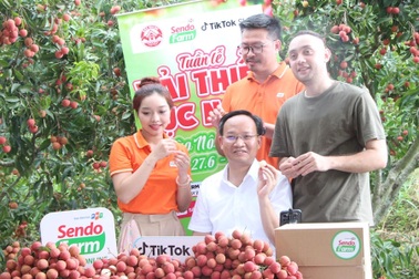 Phó Chủ tịch UBND tỉnh livestream "chốt đơn" hàng tấn vải thiều