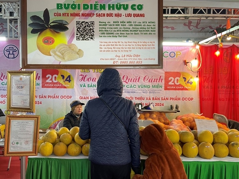 ha noi 5.jpg ha noi 5.jpg