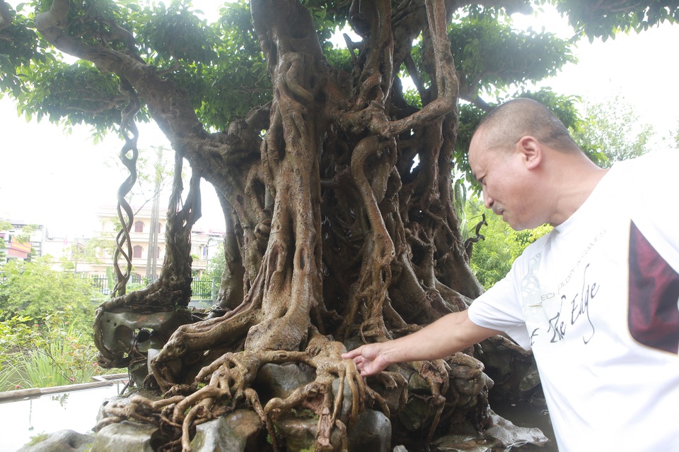 “Báu vật ẩn mình” có tuổi đời 500 năm ở Hà Nội, trả 100 cây vàng không bán - 3 “Báu vật ẩn mình” có tuổi đời 500 năm ở Hà Nội, trả 100 cây vàng không bán - 3