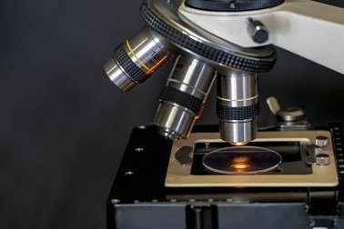 Hóa thạch tỷ năm tuổi vén màn bí ẩn quá trình tiến hóa của động vật