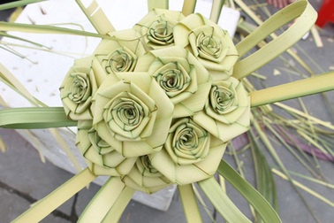 Nghệ An: Hoa hồng lá dừa non “hút” khách trẻ