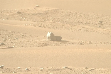 NASA gây bất ngờ với hình ảnh "chú mèo" đầu tiên trên hành tinh khác