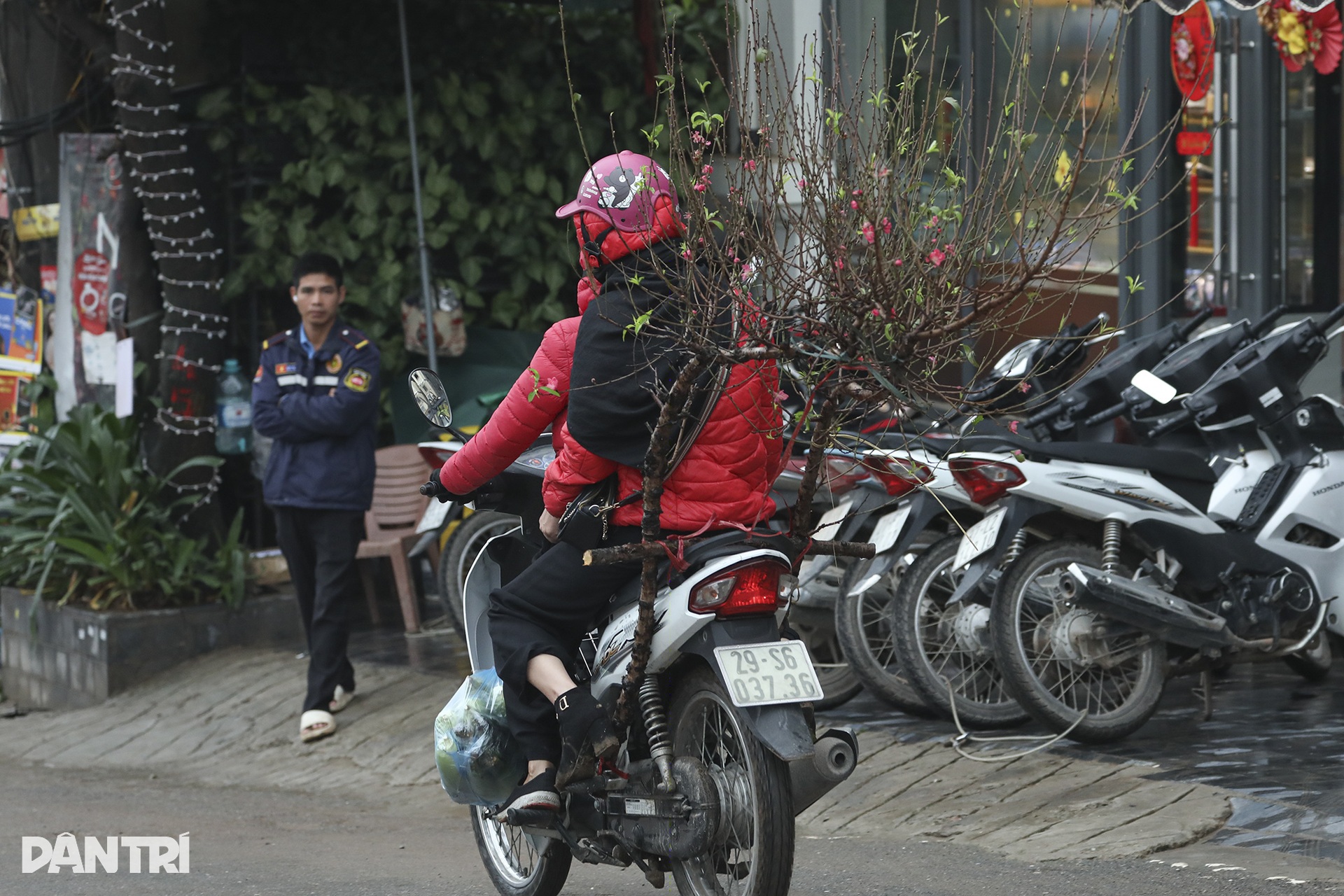 Hoa đào xuống phố báo hiệu xuân đang về - 13 Hoa đào xuống phố báo hiệu xuân đang về - 13