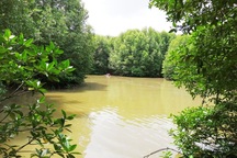 Vụ sai phạm tại Vườn quốc gia Mũi Cà Mau: Kỷ luật 2 nguyên lãnh đạo