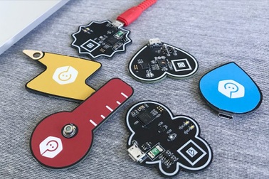 Hướng đi cho ngành giáo dục thời 4.0, bài học từ New Zealand