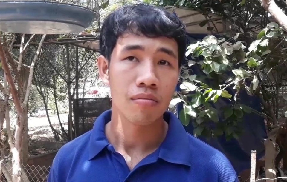 Chàng trai rước loài ong tí hon về nhà nuôi không ngờ thu bạc triệu - 2 Chàng trai rước loài ong tí hon về nhà nuôi không ngờ thu bạc triệu - 2