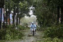 Tôn bay, cây đổ, thuyền đắm trong bão Noru