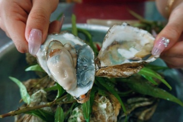 Làng chài Phước Hải từng gây sốt với phố hàu 35.000 đồng/kg, giờ ra sao?