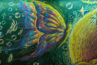 Tranh "bướm phá kén" trên bảng đen hút 5 triệu view, thông điệp cực "chất"