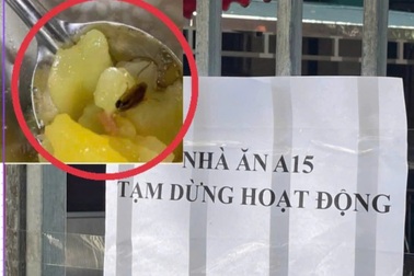 Phó Thủ tướng yêu cầu xử lý vụ sinh viên Bách khoa ăn cơm thừa, có dị vật