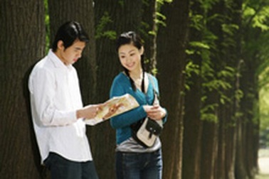 “Vườn yêu” in dấu thân cây