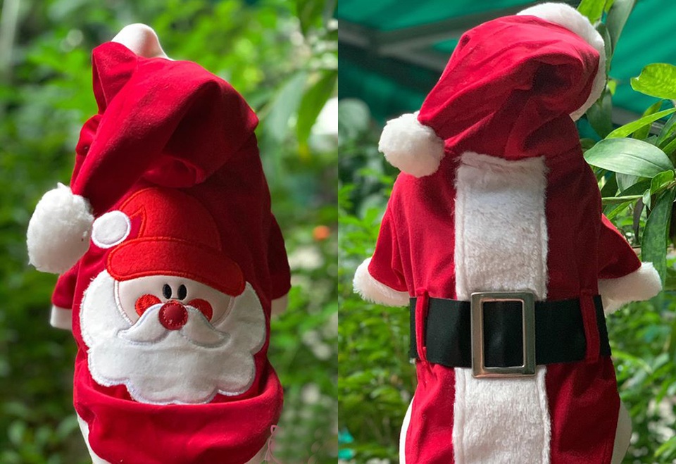 Chủ nhân rút hầu bao, chi đậm sắm đồ Noel cho thú cưng - 2 Chủ nhân rút hầu bao, chi đậm sắm đồ Noel cho thú cưng - 2