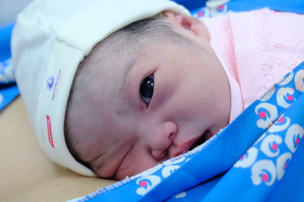 Những em bé mèo con chào đời đúng khoảnh khắc giao thừa - 7 Những em bé mèo con chào đời đúng khoảnh khắc giao thừa - 7