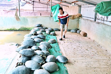 Thượng tá công an với nghề tay trái, thu lãi tiền tỷ mỗi năm