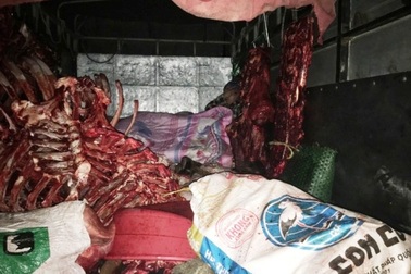 Bắt liên tiếp 8 trường hợp vận chuyển thực phẩm bẩn