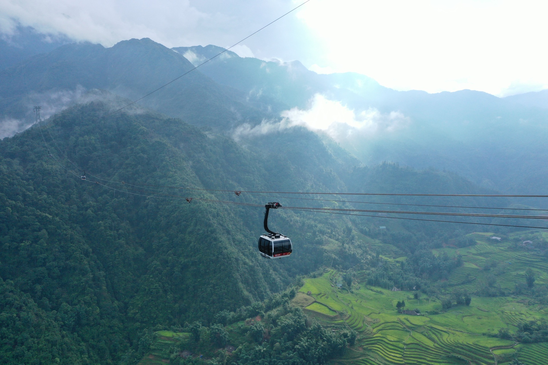 The picturesque golden terraced fields captivate visitors to Sapa - 11