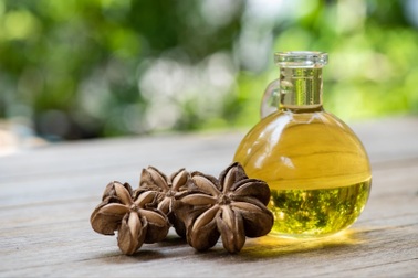 Khám phá những công dụng với sức khỏe của dầu hạt Sachi