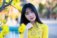 Rực rỡ sắc vàng với bộ ảnh áo dài đón Tết của du học sinh tại Mỹ