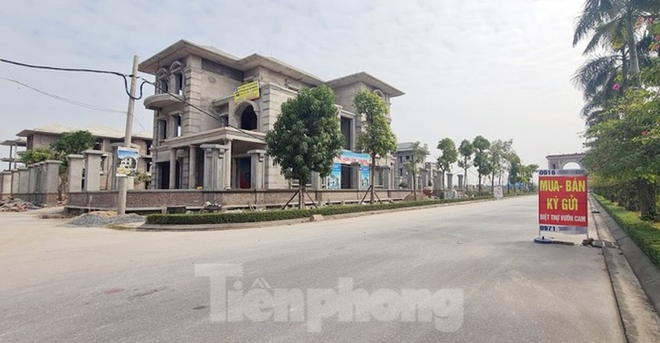 Biệt thự nuôi gà, trồng rau ngoại thành Hà Nội bất ngờ được thổi giá dựng ngược - 21 Biệt thự nuôi gà, trồng rau ngoại thành Hà Nội bất ngờ được thổi giá dựng ngược - 21