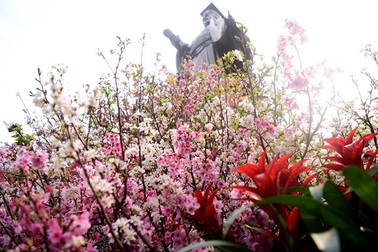 Những điều chưa biết về Lễ hội hoa anh đào 2019