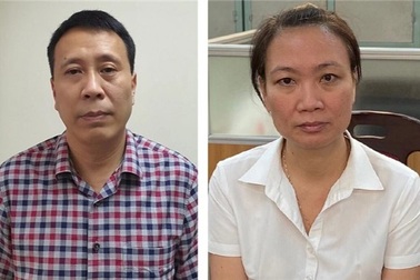 Hà Nội: Bắt Giám đốc Ban duy tu công trình hạ tầng nâng khống giá cây xanh