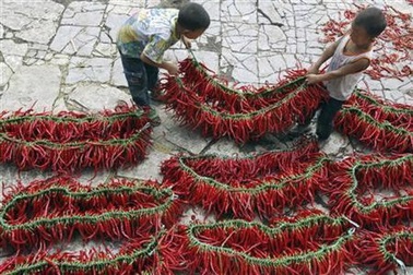 Ấn Độ dùng ớt làm vũ khí 