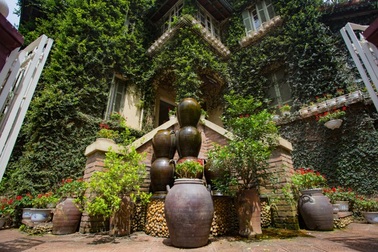 Những ngôi nhà "phủ" cây xanh, mỗi buổi sáng chim hót líu lo như trong rừng