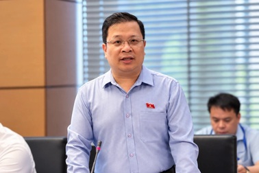 Cha mẹ đẻ xâm hại bóc lột con, có nên cho trẻ cơ hội đi làm con nuôi?