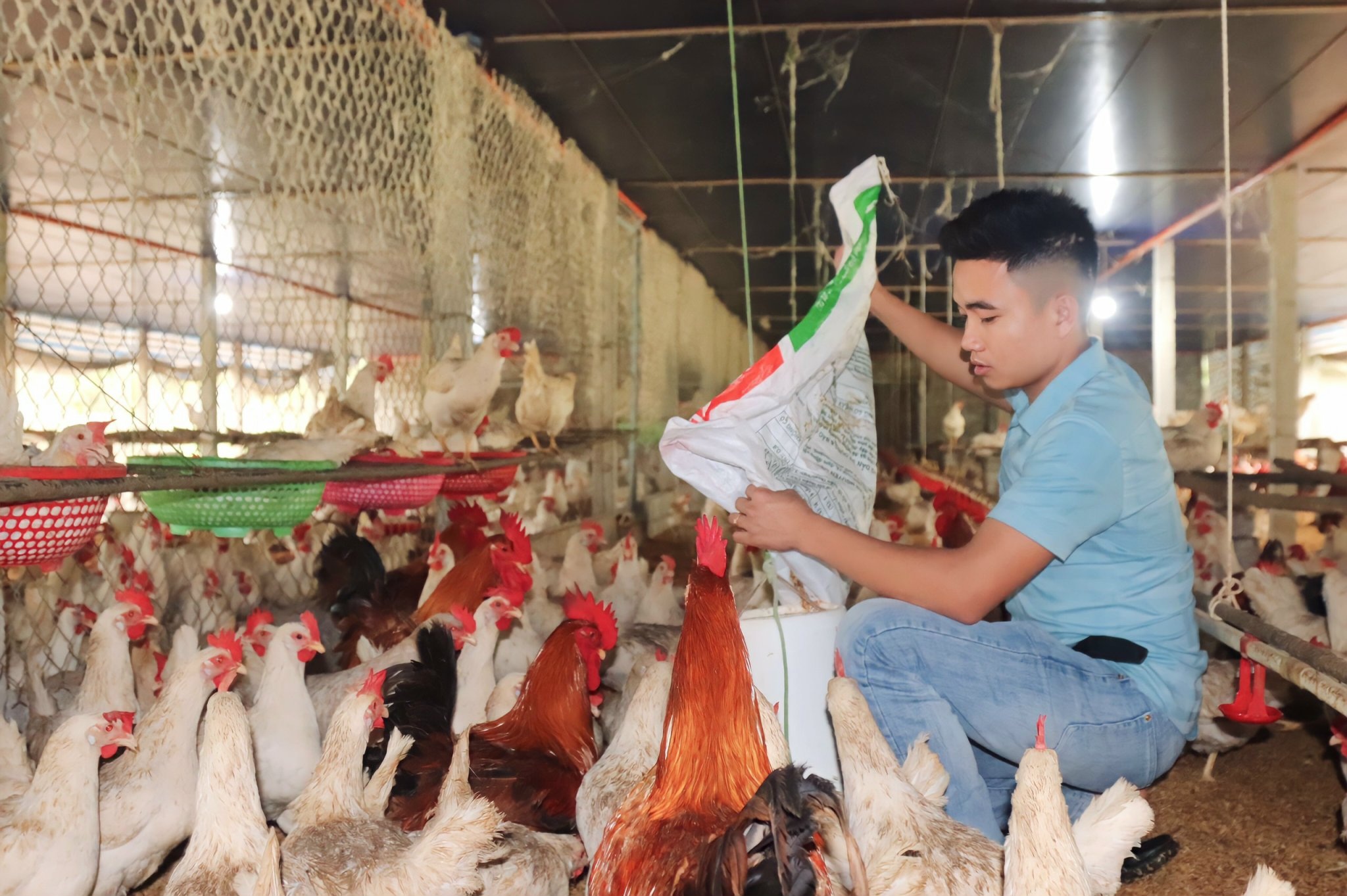 Hành trình từ tay trắng đến chủ trang trại tiền tỷ của chàng trai trẻ - 3 Hành trình từ tay trắng đến chủ trang trại tiền tỷ của chàng trai trẻ - 3