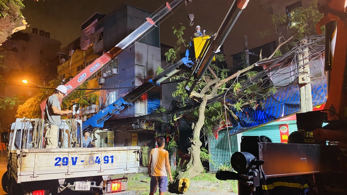 Xe container đâm gãy cành cây, một học sinh bị vạ lây - 1 Xe container đâm gãy cành cây, một học sinh bị vạ lây - 1