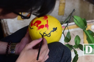 Độc đáo: Bưởi vẽ thư pháp cháy hàng dịp Tết