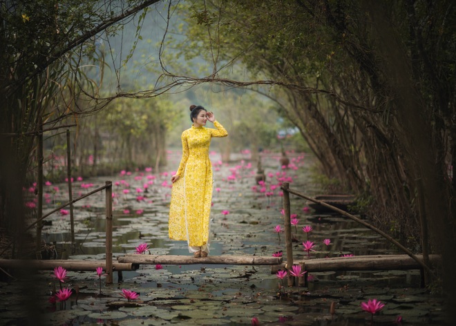 Mùa hoa súng suối Yến hút hồn du khách thập phương - 18 Mùa hoa súng suối Yến hút hồn du khách thập phương - 18