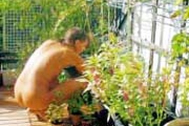 Ngày thế giới khoả thân làm vườn 