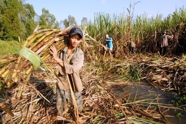 Ăn 5.000 tỉ đồng, sao còn bắt dân làm “con tin”?