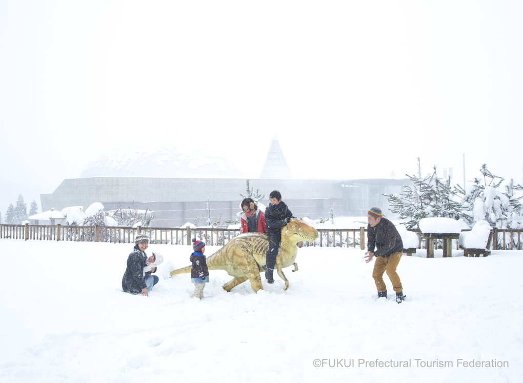 Khám phá mùa đông nên thơ tại Nhật Bản ở khu vực Hokuriku Shinetsu và Tokai - 3