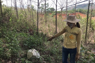 Người dân bất bình tố công ty nổ mìn khiến đá văng và sập tường tại Gia Lai