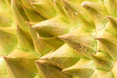 Thử tài tinh mắt: Đố bạn nhận ra các loại trái cây trong hình